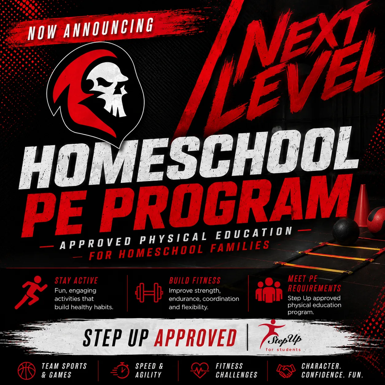 Next Level Homeschool PE Program